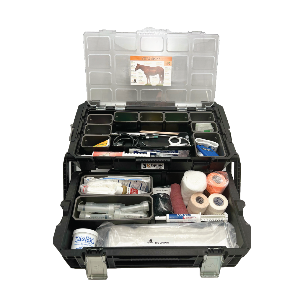 The Professional Equine First Aid Kit