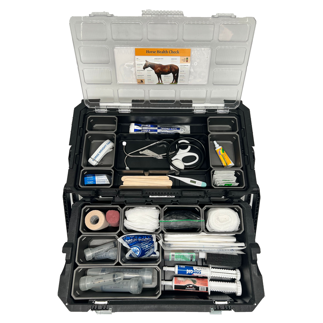 The Weekender Equine First Aid Kit